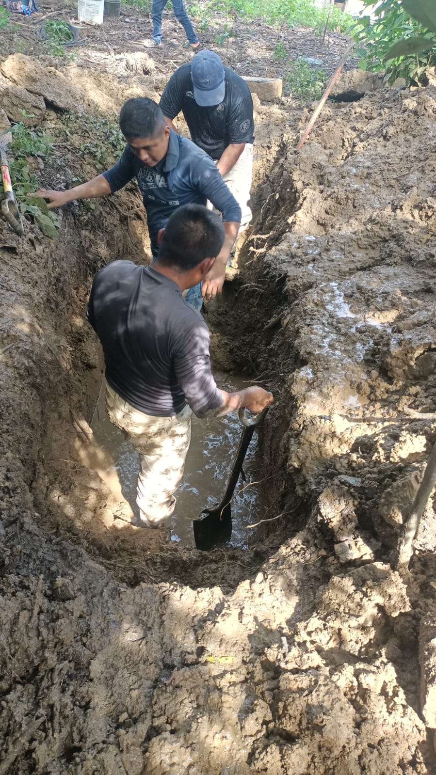 Reporte de Calidad del Agua