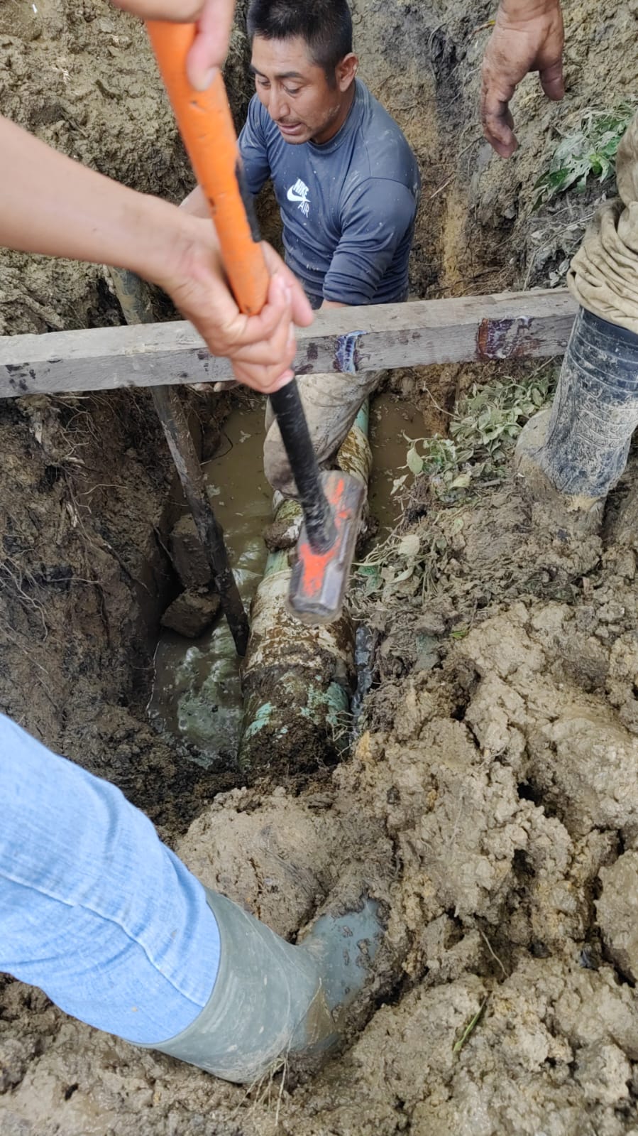 Reporte de Calidad del Agua